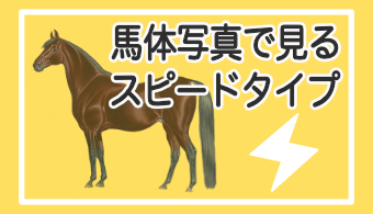 予想に役立つ馬体の見方を日々更新