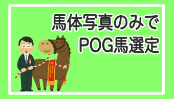 【POG】馬体のみで選出！デビュー前に好走馬を見極める！