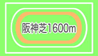 【コース別適正馬体】阪神芝1600m