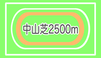 【コース別適正馬体】中山芝2500m