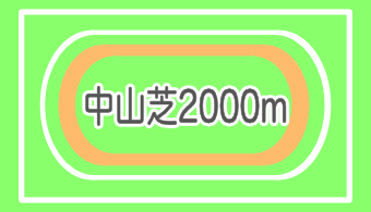 【コース別適正馬体】中山芝2000m