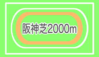 【コース別適正馬体】阪神芝2000m