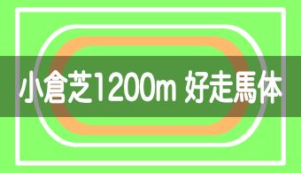 【コース別適性馬体】予想に活かせる！小倉芝1200mを好走する馬体の特徴【2024年改訂版】