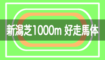 【コース別適正馬体】予想に活かせる！新潟芝1000mを好走する馬体の特徴【2024年改訂版】