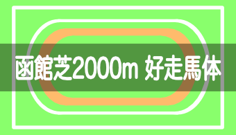 【コース別適正馬体】予想に活かせる！函館芝2000mを好走する馬体の特徴【2024年改訂版】