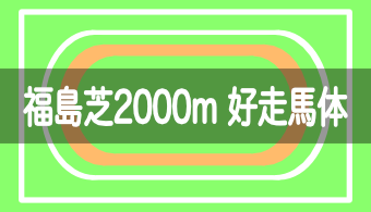 【コース別適正馬体】予想に活かせる！福島芝2000mを好走する馬体の特徴【2024年改訂版】