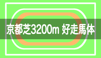 【コース別適正馬体】京都芝3200mを好走する馬体の特徴【23年最新版（改修工事後）】