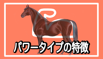 【馬体基礎知識】馬体から読み解くパワータイプの特徴