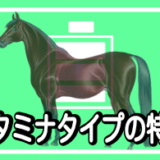 【馬体基礎知識】馬体から読み解くスタミナタイプの特徴