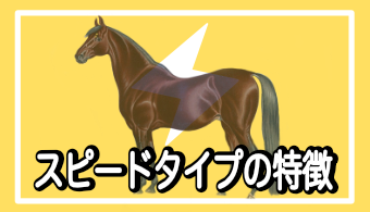 【馬体基礎知識】馬体から読み解くスピードタイプの特徴