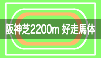 【コース別適正馬体】予想に活かせる！阪神芝2200mを好走する馬体の特徴【2024年改訂版】