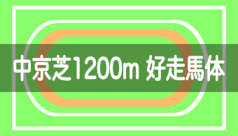 【コース別適正馬体】中京芝1200mを好走する馬体の特徴