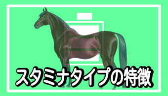 【馬体基礎知識】馬体から読み解くスタミナタイプの特徴