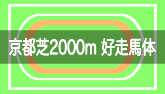 【コース別適性馬体】予想に活かせる！京都芝2000mを好走する馬体の特徴【2023年最新版（改修工事後）】