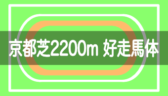 【コース別適性馬体】予想に活かせる！京都芝2200mを好走する馬体の特徴【2023年最新版（改修工事後）】