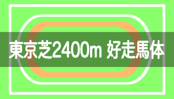 【コース別適性馬体】予想に活かせる！東京芝2400mを好走する馬体の特徴【2023年改訂版】