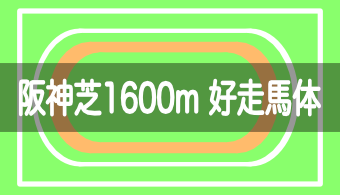 【コース別適性馬体】予想に活かせる！阪神芝1600mを好走する馬体の特徴【2023年改訂版】