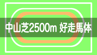 【コース別適性馬体】予想に活かせる！中山芝2500mを好走する馬体の特徴【2023年改訂版】