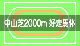 【コース別適性馬体】予想に活かせる！中山芝2000mを好走する馬体の特徴【2023年改訂版】