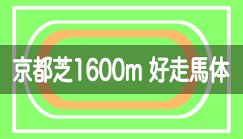 【コース別適性馬体】予想に活かせる！京都芝1600mを好走する馬体の特徴【2023年最新版（改修工事後）】