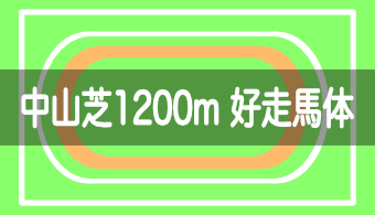 【コース別適性馬体】予想に活かせる！中山芝1200mを好走する馬体の特徴【2023年改訂版】