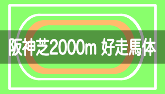 【コース別適性馬体】予想に活かせる！阪神芝2000mを好走する馬体の特徴【2023年改訂版】