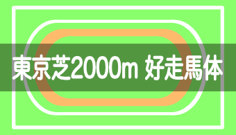 【コース別適性馬体】予想に活かせる！東京芝2000mを好走する馬体の特徴【2024年改訂版】