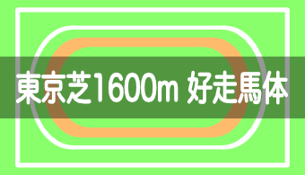 【コース別適性馬体】予想に活かせる！東京芝1600mを好走する馬体の特徴【2024年改訂版】