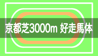 【コース別適性馬体】予想に活かせる！京都芝3000mを好走する馬体の特徴【2024年最新版（改修工事後）】