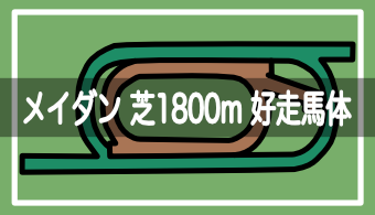 【ドバイターフ】好走馬の馬体特徴と24年の注目馬