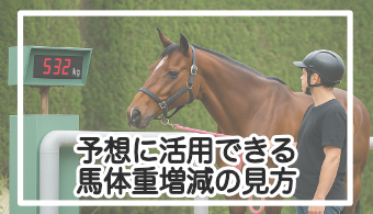 【競馬初心者必見】馬体重の増減で調子を見抜く！正しい見方と驚きの実例も紹介
