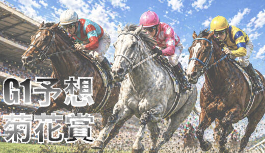 【馬体から好走馬予想】26年菊花賞